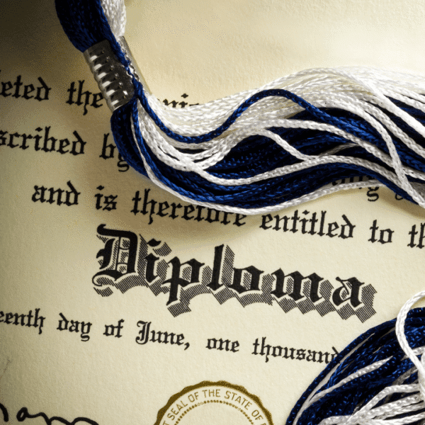 University Transcript Maker | Validgrad