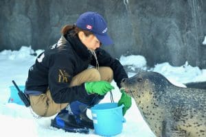Zoologist Education: Your Complete Guide to a Wildlife Science Career