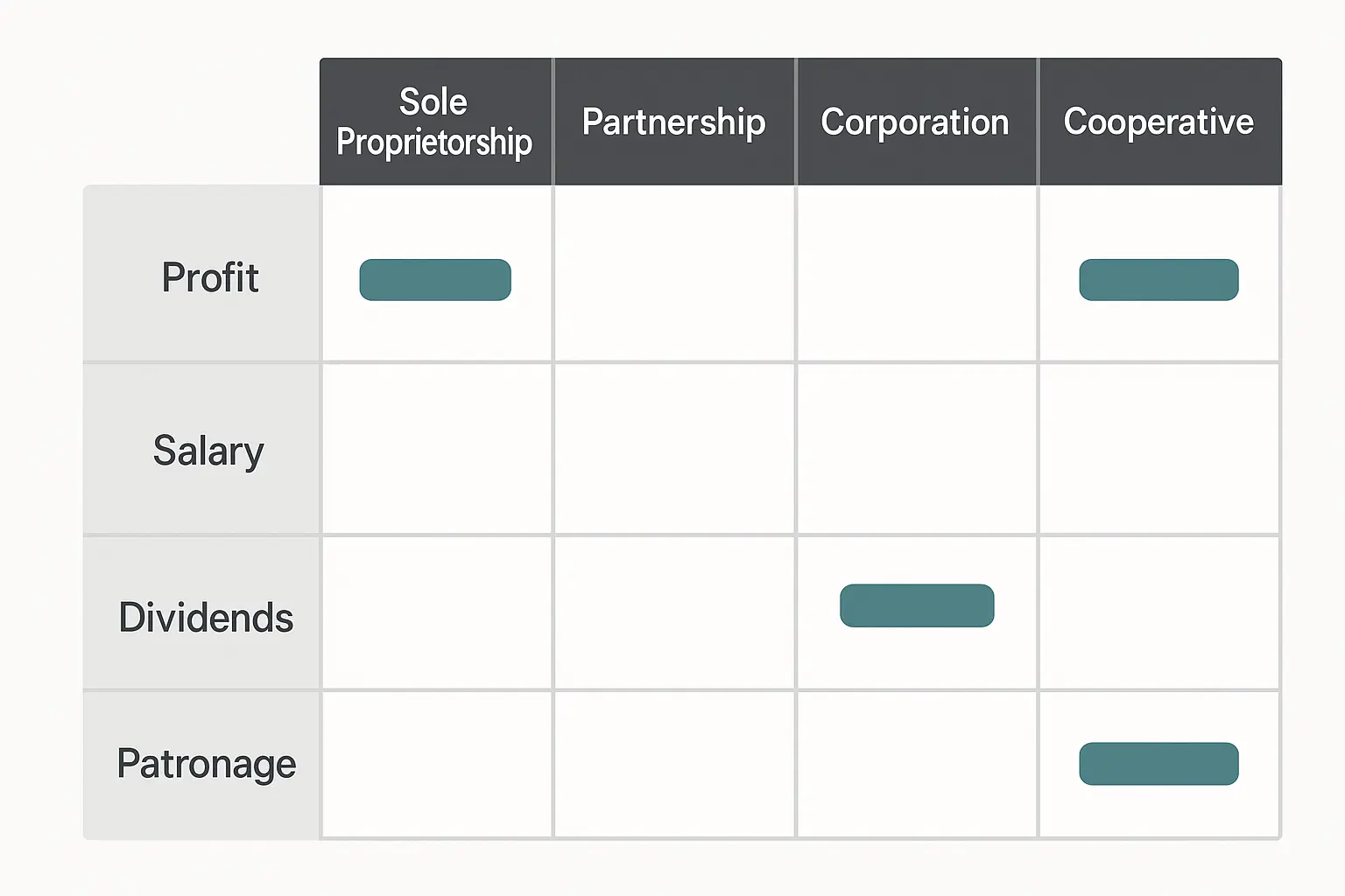 AI Company Types Compensation